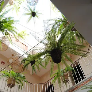 Pensión Córdoba 